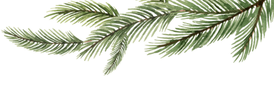 pine-branch